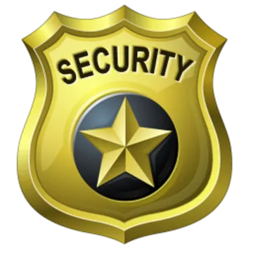 a gold badge with the word security
