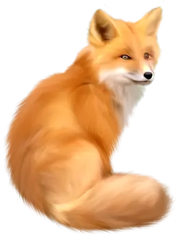 a drawing of a fox on a white background