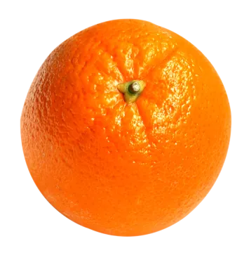 an orange on a white background