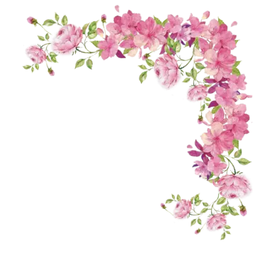 pink flowers on a white background