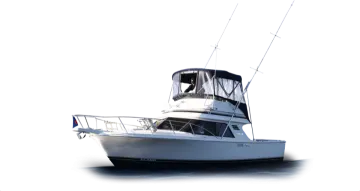 the boat is white