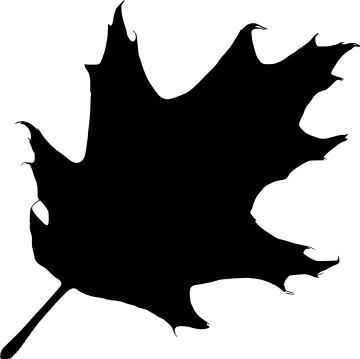 a black silhouette of a maple leaf