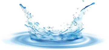 a splash of water on white background