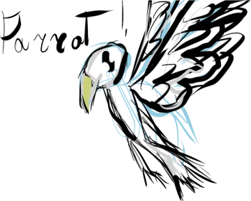 a drawing of a bird with its wings spread