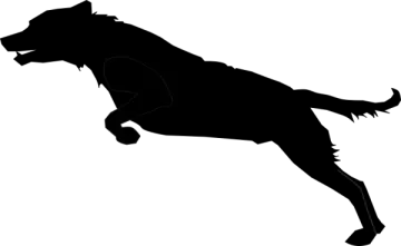 a black silhouette of a dog running