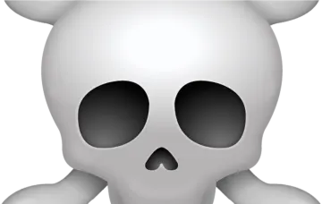 a skull and crossbone on a white background