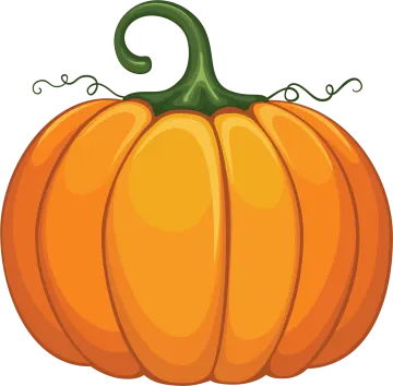 a pumpkin on a white background