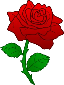 a red rose with green leaves