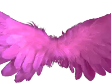an image of a pink angel wings
