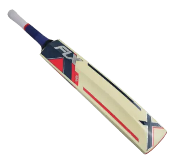 a cricket bat with a blue and red stripe