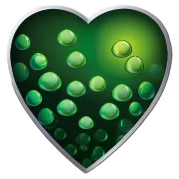 a green heart with water droplets