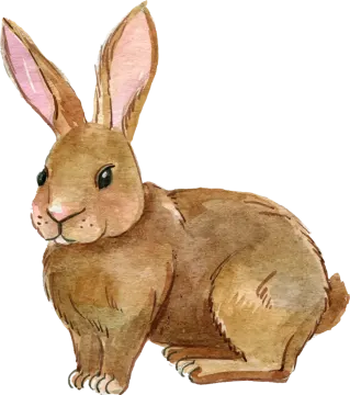 a watercolor drawing of a rabbit