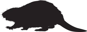 a black and white silhouette of a cat