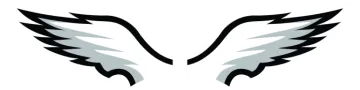 a pair of white and black wings