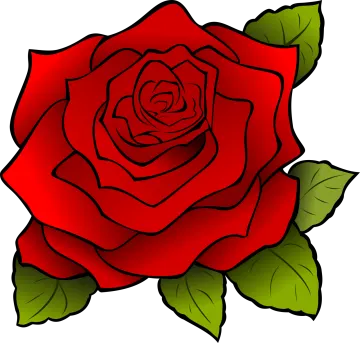 a red rose with green leaves