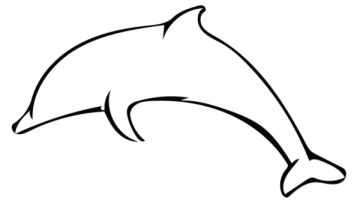 how to draw a dolphin