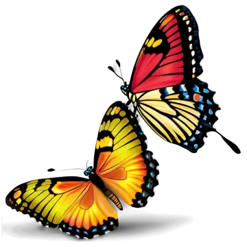 two butterflies on a white background