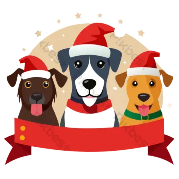 three dogs in santa hats with a banner
