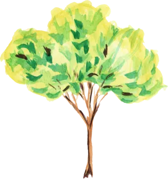 a watercolor drawing of a tree