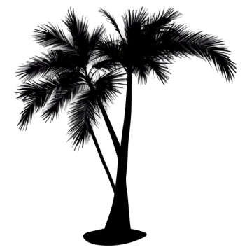 a black and white silhouette of two palm trees