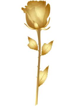 a gold rose on a white background