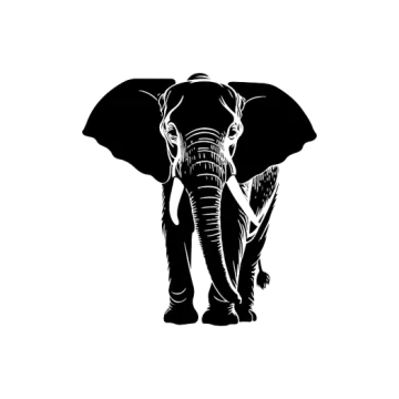 a black and white image of an elephant