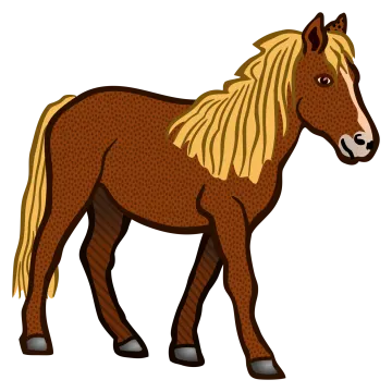a brown horse standing on a white background