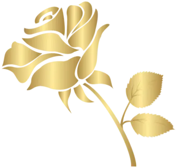a gold rose on a white background