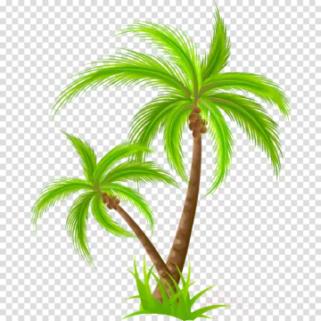 a green palm tree on a white background