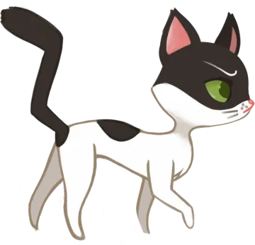 a black and white cat with green eyes