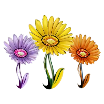 three colorful flowers on a white background
