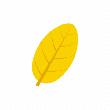 a yellow leaf on a white background