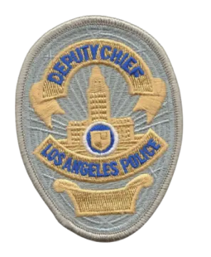 a patch with the logo of an air force