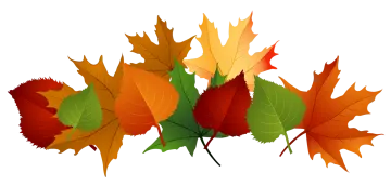 a bunch of colorful fall leaves