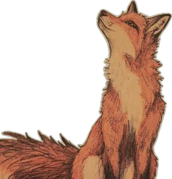 a drawing of a fox on a white background