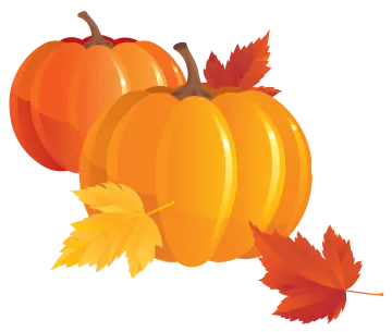 two orange pumpkins with autumn leaves