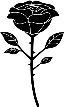 a black rose on a white background