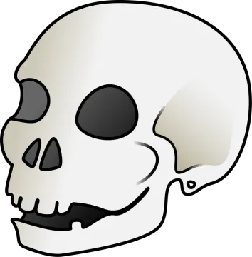 a white skull with black eyes