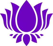 a purple lotus on a white background