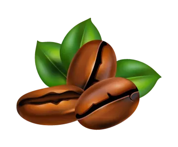 two coffee beans with green leaves