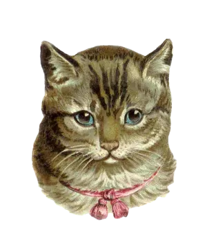 a drawing of a cat with blue eyes