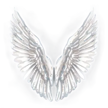 a pair of wings on a white background