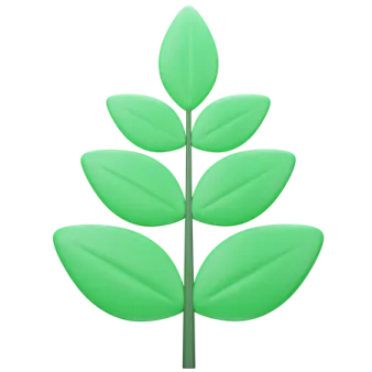 a green leaf on a white background