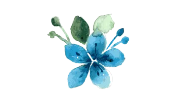 a blue flower on a white background