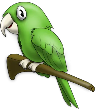 a green parrot perched on a branch