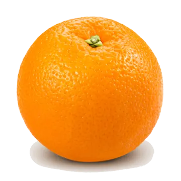 an orange on a white background