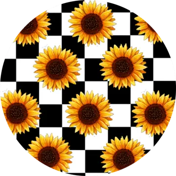 sunflowers on black and white checkered background