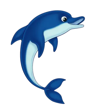 a dolphin with its mouth open