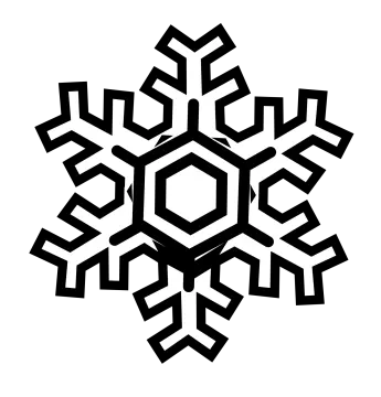 a black and white image of a snowfl