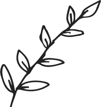 a black and white drawing of a branch